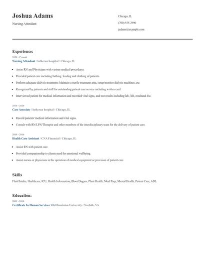 Nursing Attendant Resume