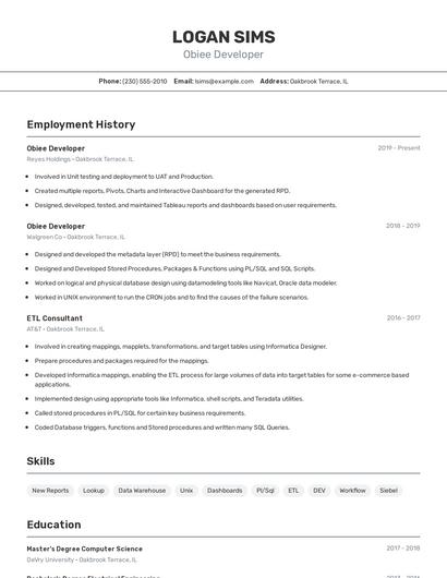 Resume example 2