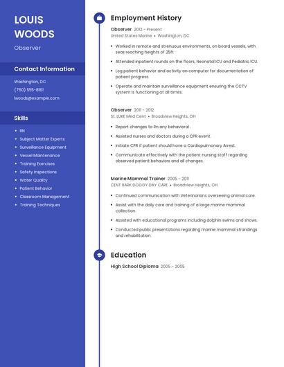 Resume example 4