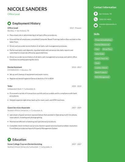 Resume example 4