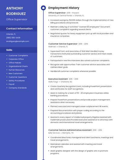 Resume example 5
