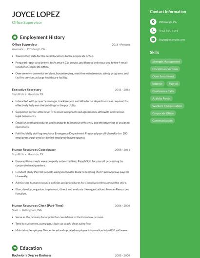 Resume example 4