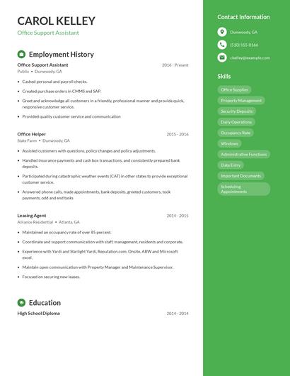 Resume example 5
