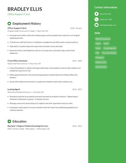 Resume example 4