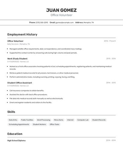Resume example 2