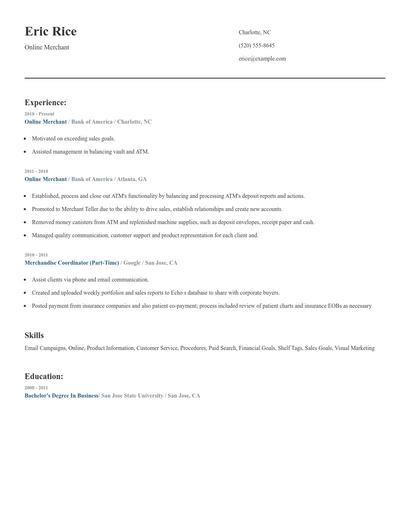 Online Merchant Resume