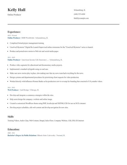 Online Producer Resume