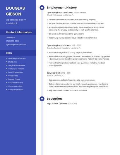 Resume example 4