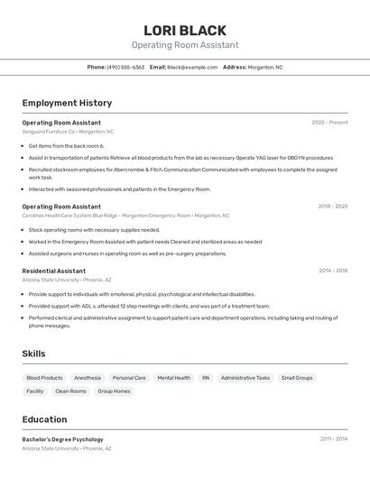 Resume example 2