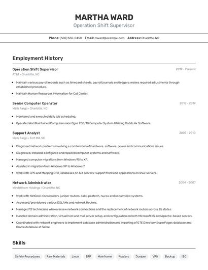 Resume example 2