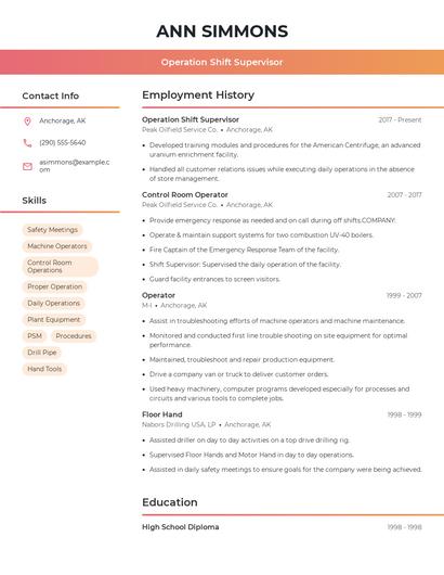 Resume example 3