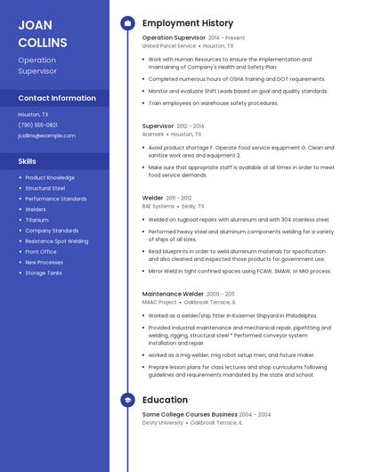 Resume example 4