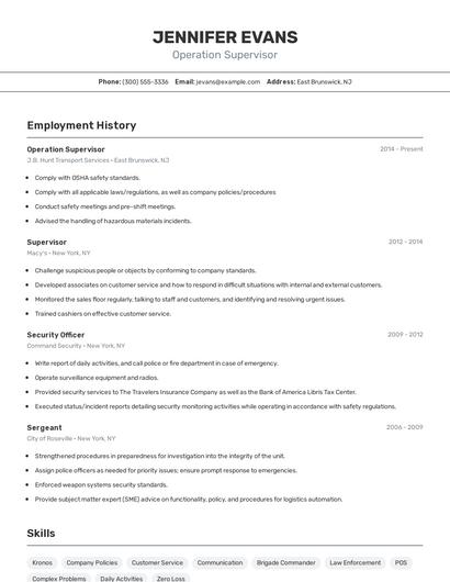 Resume example 2