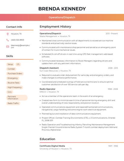 Resume example 3