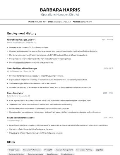 Resume example 2