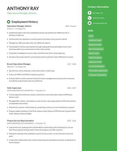 Resume example 5