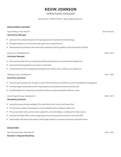 Operations Manager Resume