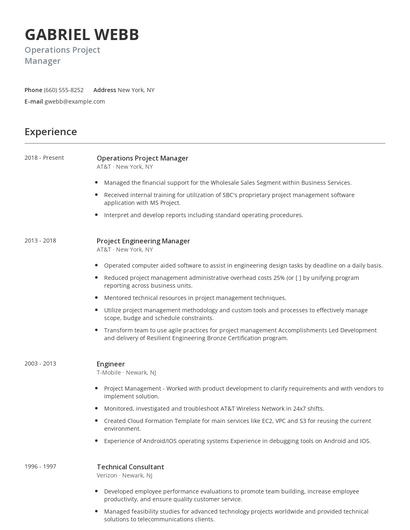 Operations Project Manager Resume