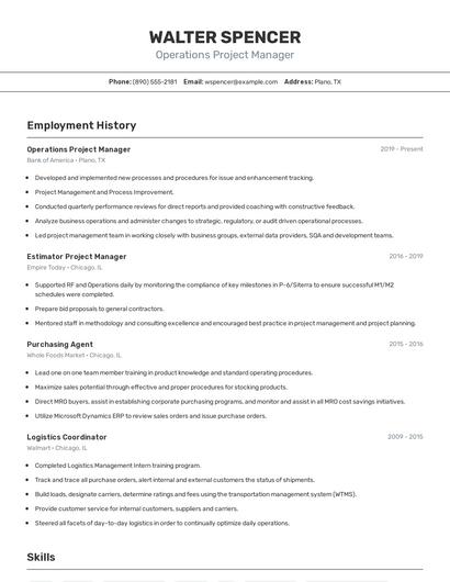 Resume example 2