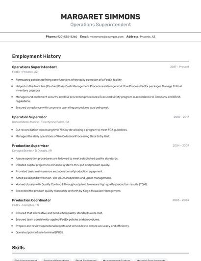 Resume example 2