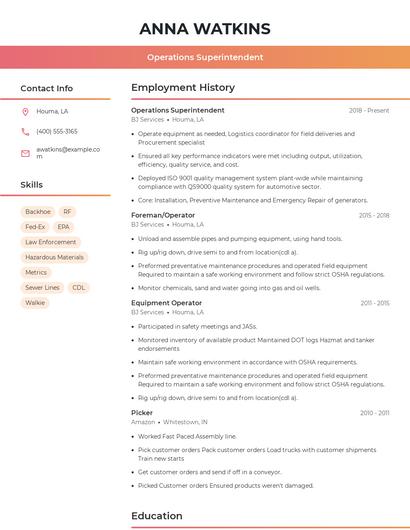 Resume example 3