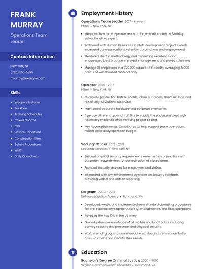 Resume example 5