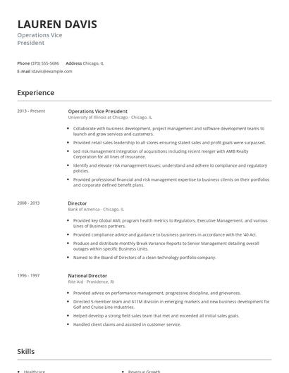Operations Vice President Resume