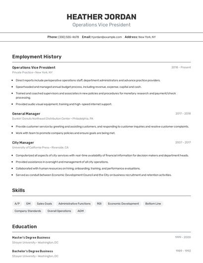 Operations Vice President Resume