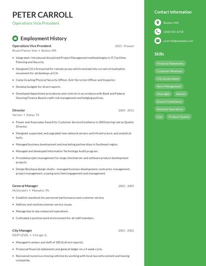 Operations Vice President Resume