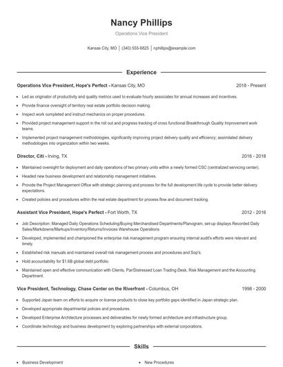 Operations Vice President Resume