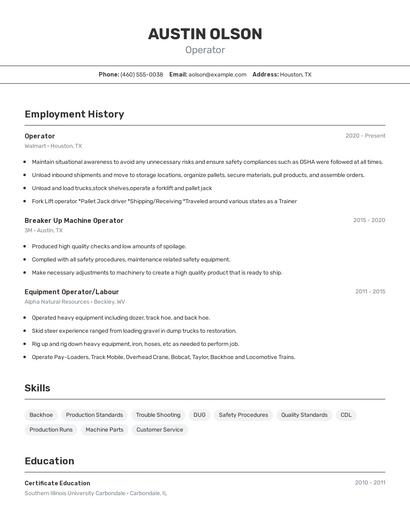 Resume example 2
