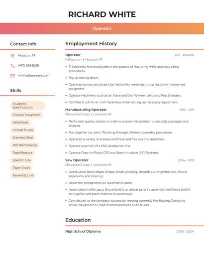 Resume example 3