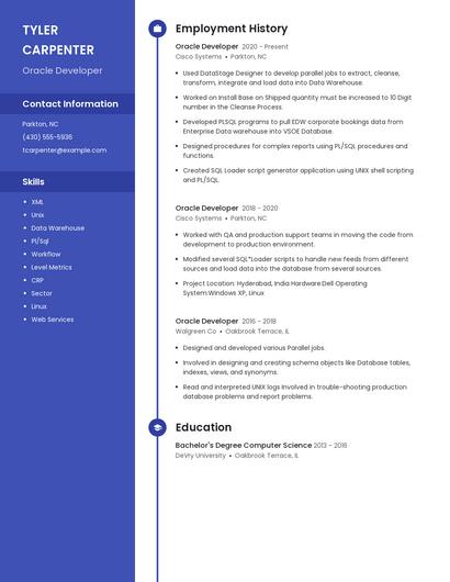 Resume example 5