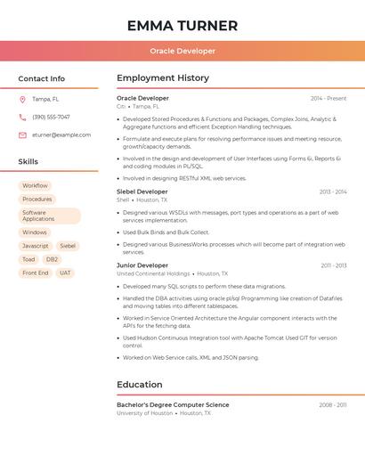 Resume example 3
