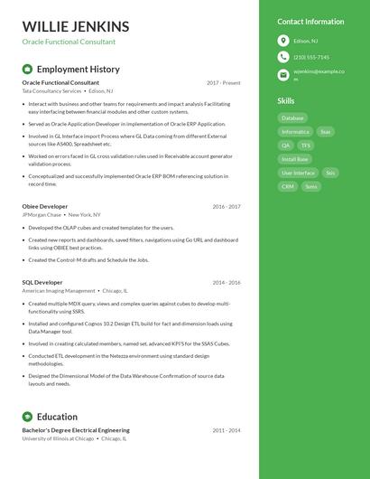 Resume example 4