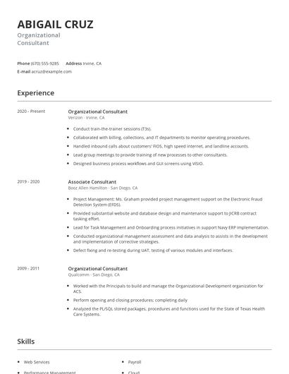 Organizational Consultant Resume
