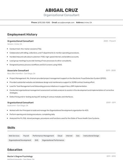 Organizational Consultant Resume