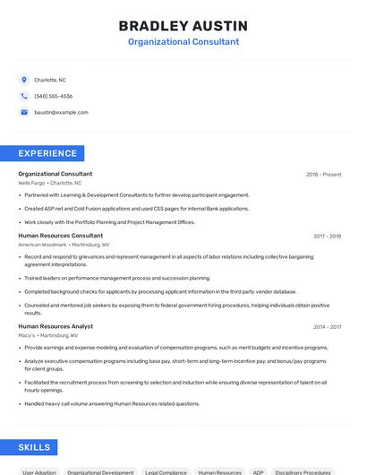 Organizational Consultant Resume