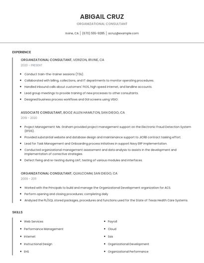 Organizational Consultant Resume