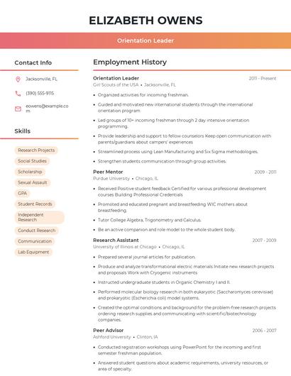 Resume example 3