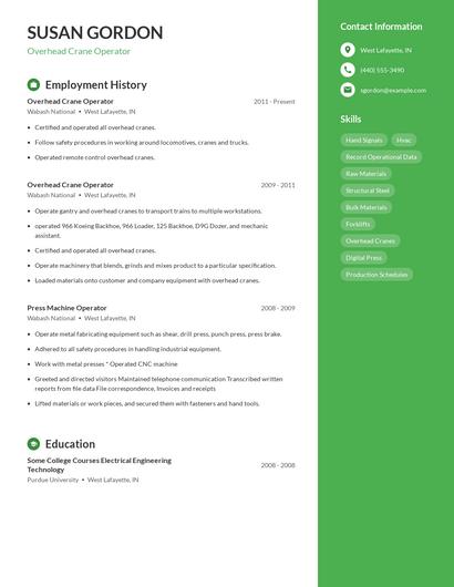 Resume example 4