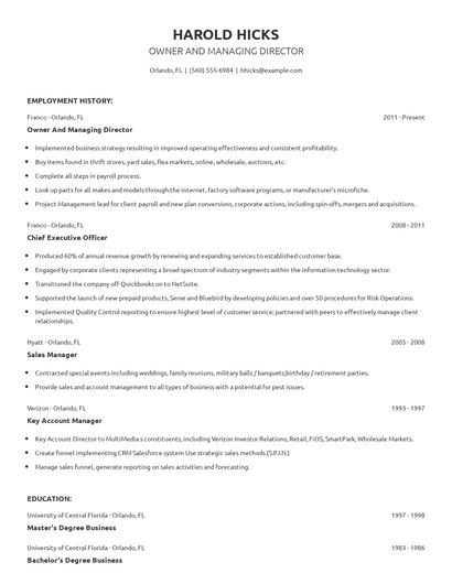 Owner And Managing Director Resume