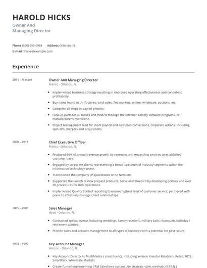 Owner And Managing Director Resume