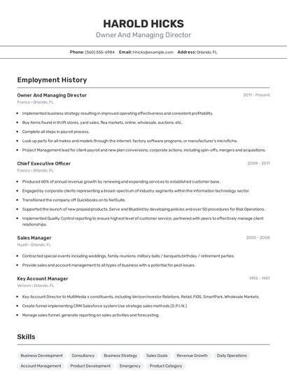 Owner And Managing Director Resume