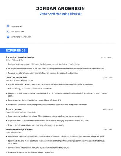Owner And Managing Director Resume