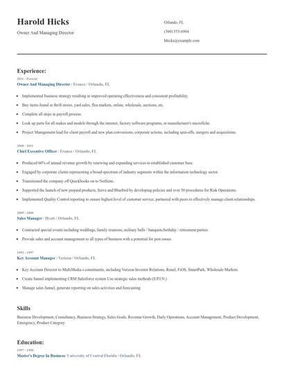 Owner And Managing Director Resume