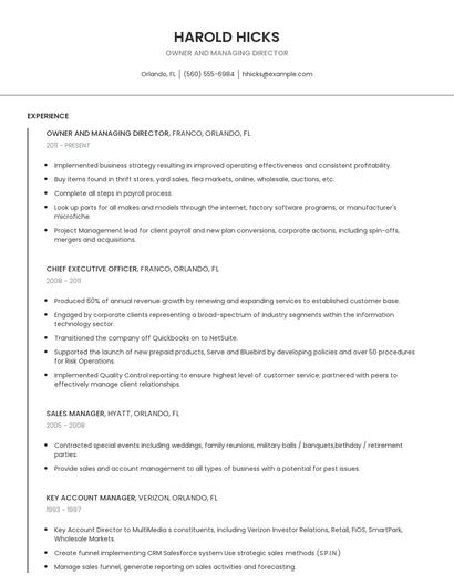 Owner And Managing Director Resume