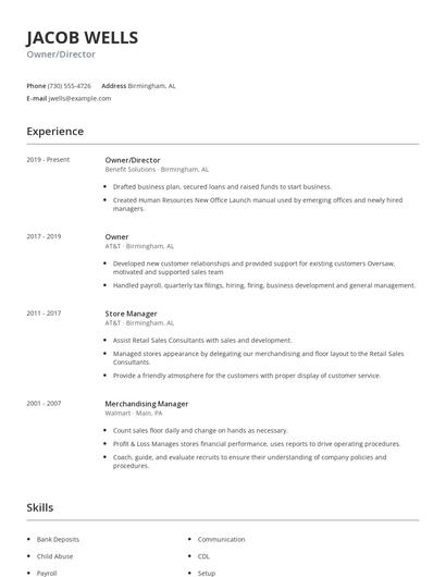 Owner/Director Resume