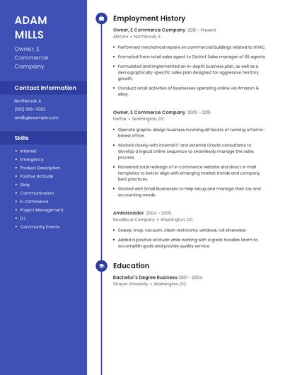 Owner, E Commerce Company Resume