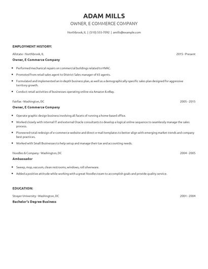 Owner, E Commerce Company Resume